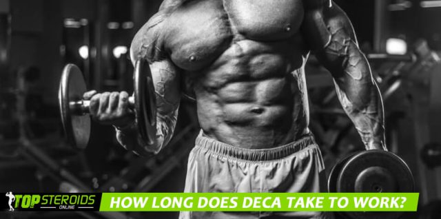 How Long Does Deca Take To Work How long does Deca Durabolin take to work? - Top Steroids Online
