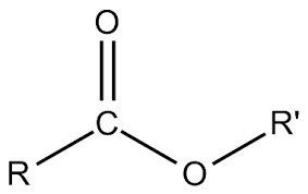 Chimie stéroides